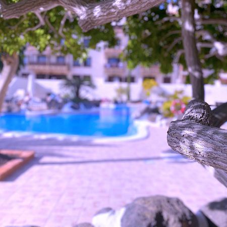 דירות קוסטה דל סילנסיו Tropicalidays Costa Mar מראה חיצוני תמונה