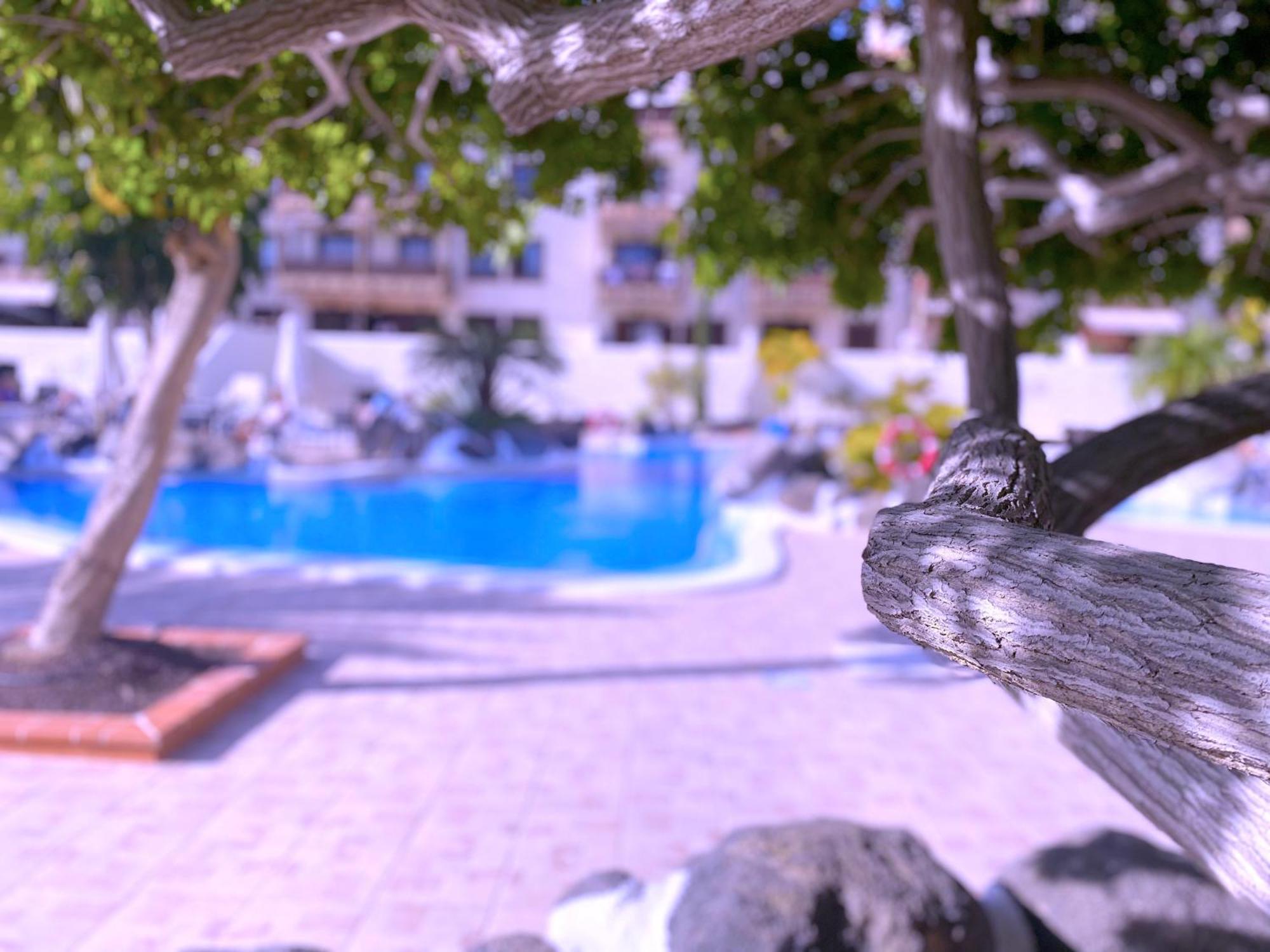 דירות קוסטה דל סילנסיו Tropicalidays Costa Mar מראה חיצוני תמונה